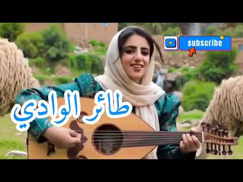 طائر الوادي عبدالغفور الشميري اغاني ذوق يمني ترند الفن اليمني ترند الاغاني تراث تعزي اغاني اليمن