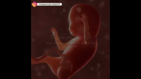 سورة الشعراء من الآية ٧٨ إلى الآية ٨٥ بصوت القارئ إسلام صبحي ❀
