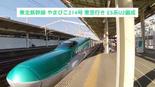 東北新幹線 やまびこ214号 東京行き E5系U2編成 2024.03.16