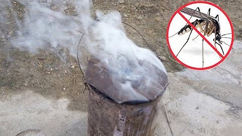 Qhia​ hlawv yoov rau​ nkuaj​ ​nyuj, cooj qaib,​ cooj​ ​os​ ​kom​ yoov​ txhob​ tom​