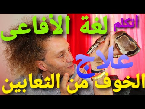 كيف تكلم الأفاعى - علاج الخوف من الثعابين - مخاطبة الثعابين  ( لغة الحيات فى 8 كلمات )