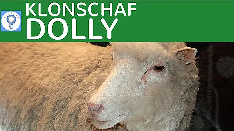 Warum ist Klonen gut?