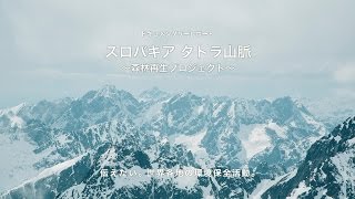 スロバキア タトラ山脈 森林再生プロジェクト Youtube