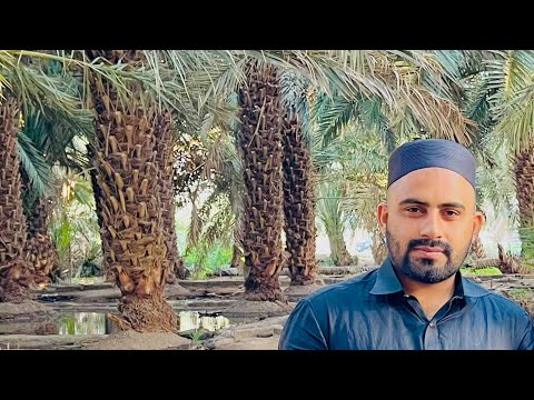 حضرت سولمان فرسی کا خواجورو ک باگ اصلی پانی که بهتا هوا خوبصورات منظر الحمدولله