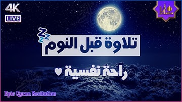 قرآن كريم بصوت جميل جداً قبل النوم | راحة نفسية لا توصف | أرح سمعك وقلبك | القارئ حسام الدين عبادي