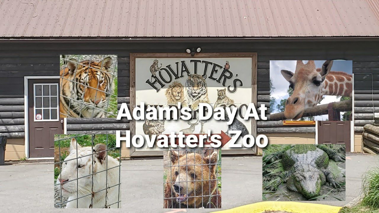 Adam's Day At Hovatter's Zoo Kingwood West Virginia YouTube