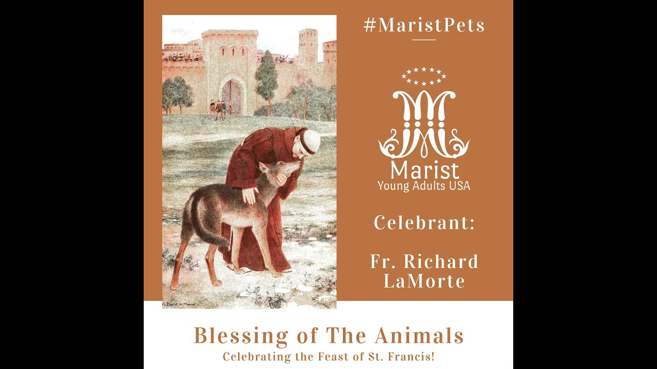 Blessing of the Animals 2020 LIVE from ESOPUS YouTube