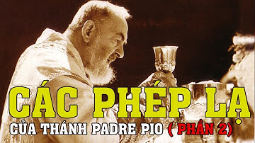 Các Phép Lạ Thánh Padre Pio phần 2