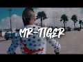 Mr tiger  lmcharmln  officiel clip prod by zaki