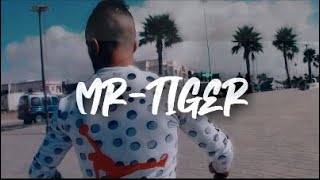 Mr tiger - LMCHARMLÈN - (Officiel clip) Prod by Zaki