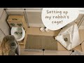 How to set up your rabbit's cage!