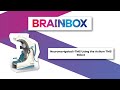 Brainbox Product Showcase: Axilum TMS Robot