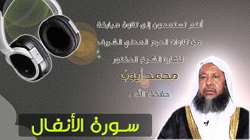 الشيخ محمد أيوب | تلاوة من الحرم | سورة الأنفال