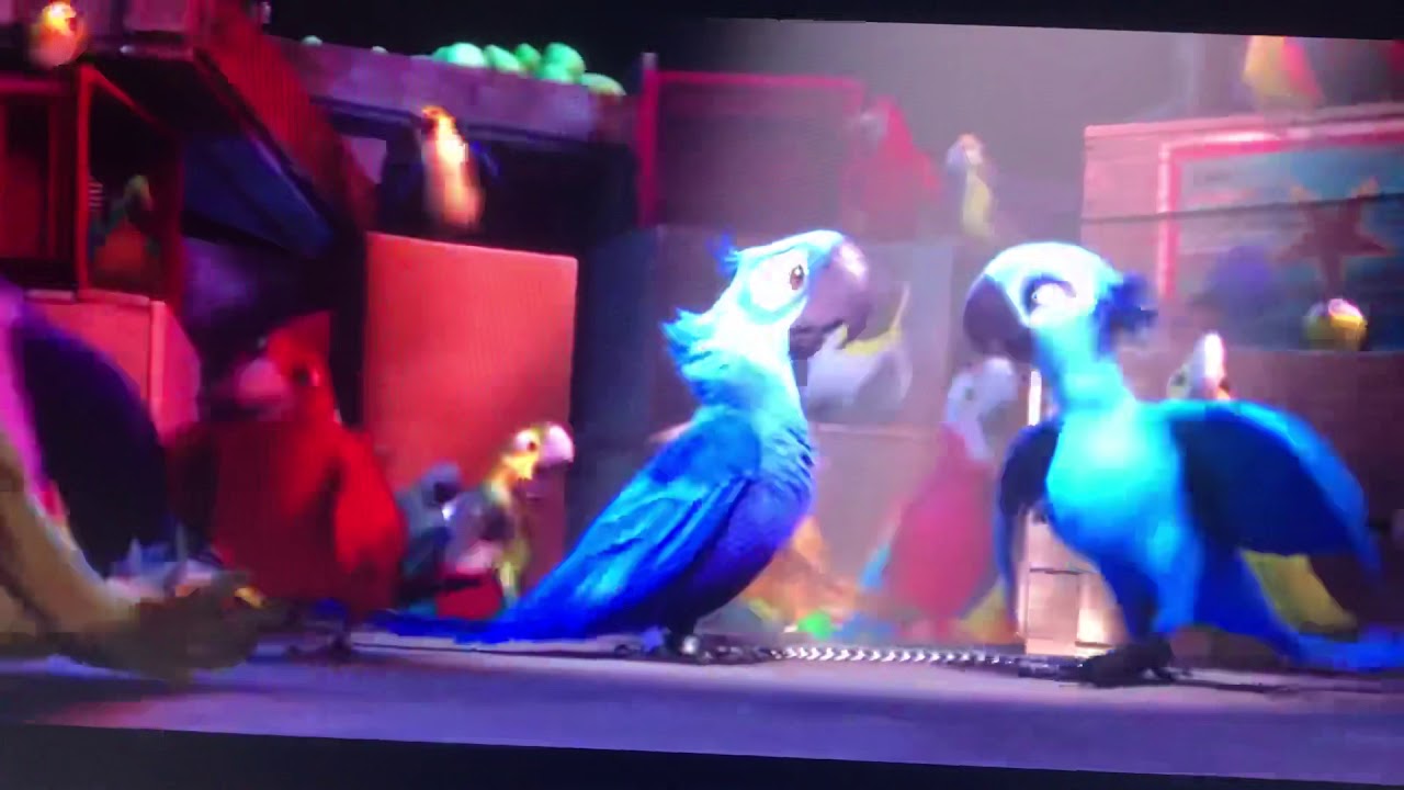 Rio movie I wanna party song YouTube