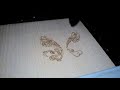 LC1290 Butterfly Laser Cut and Half Cut on Veneer