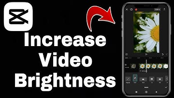 How To Increase Video Brightness in CapCut