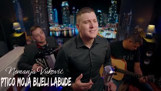 Video thumbnail of "Nemanja Vukovic - Ptico Moja Bijeli Labude ( Official Cover 2022 )"