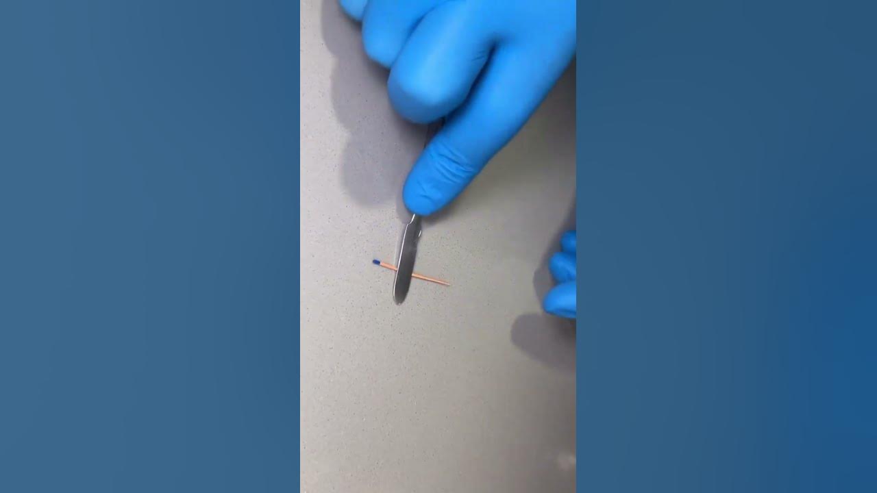 how-to-make-a-long-gutta-percha-youtube