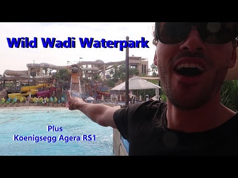 Wild Wadi Water Park in Dubai!