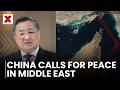 China Calls for UN-GCC Cooperation to Promote Middle East Peace | NewsX World