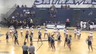 Summit Cheer 2013-2014