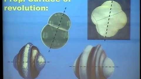 Isoperimetric and partitioning problems, by Frank Morgan