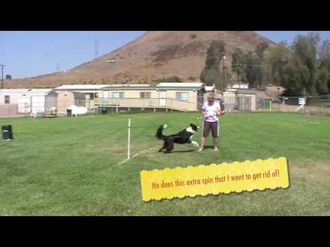 Freestyle Practice physical education