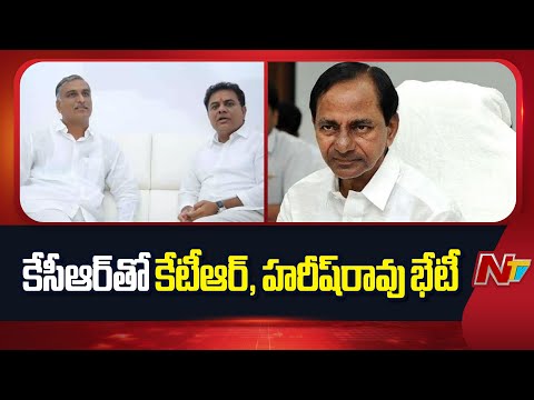 KTR, Harish Rao Meets KCR in Erravalli Farmhouse | Telangana | NTV Telugu - NTVTELUGU