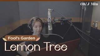 &#39;Lemon Tree&#39; (Fool’s Garden)｜Cover by J-Min 제이민