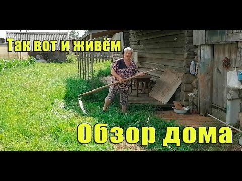 Приехали из города