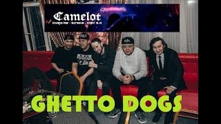 Ghetto dogs / Camelot