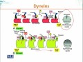 BIO734 Advances in Cell Biology Lecture No 191