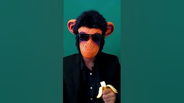 Master Excel Checklists with IF Conditions! 🐵 #exceltips #funny #exceltricks