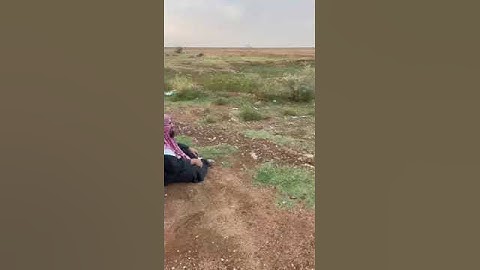 دحيم محمد ١٤٤٦هـ تلاوة من سورة هود