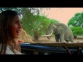 ANIMAL MATTERS NEW FULL TASTER 1080p