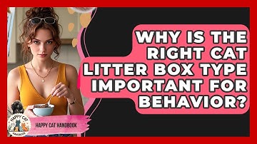 Why Is The Right Cat Litter Box Type Important For Behavior? - Happy Cat Handbook