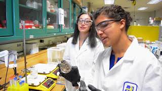 Army Scientists Use Fluorescent Gels to Study Blast Pressure on the Brain