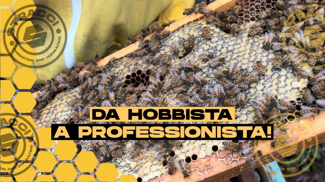 apicoltura-come-passare-da-hobby-a-professione-youtube