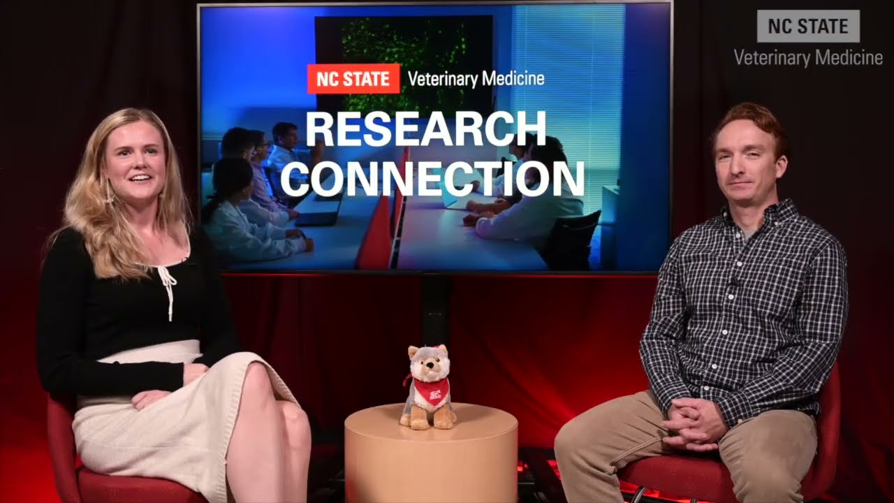 Research Connection: Dr. Neil McCarthy, Assistant Professor of Molecular Biomedical Sciences