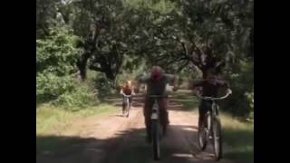 This Just Had To Be Done Cole Labrant, Happyjewtalian