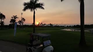 Why Golf Hurts So.. Good?