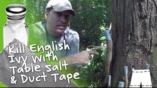 How To Kill English Ivy Vines With Salt & Duct Tape DIY