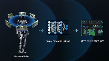 Fourier Camera-Only Perception Network: BEV+Transformer+Occupancy