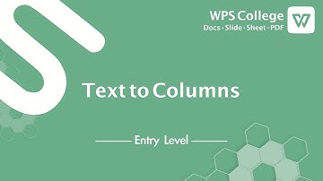 [WPS Office] Excel 1.5: How to use Text to columns in Excel-Convert text to columns [Tutorial]