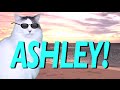 HAPPY BIRTHDAY ASHLEY! - EPIC CAT Happy Birthday Song