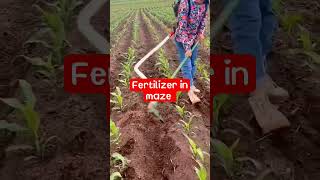 fertilizer ideas in crops agriculture ideas viral