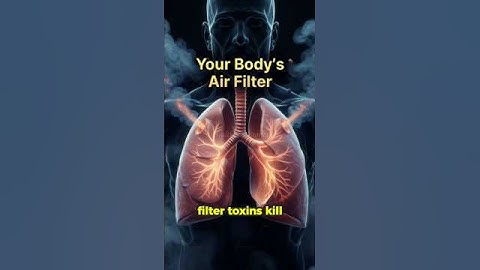 What Your Lungs Really Do for Your Body #LungHealth