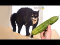 Funniest Animals - Best Of The 2021 Funny Animal Videos #60