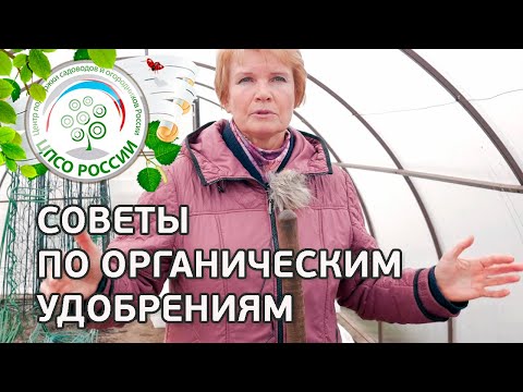 Органические удобрения. Какие листья подходят для компоста. Как хранить золу.