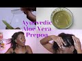 Ayurvedic &amp; Aloe Vera Intense Moisture Prepoo Treatment | High Porosity Hair | Dry, Itchy Scalp